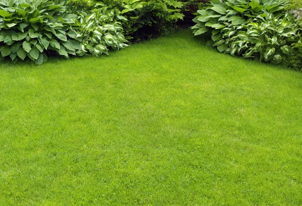 Talon Desforges Terrassement Saumur Amenegment Paysager02